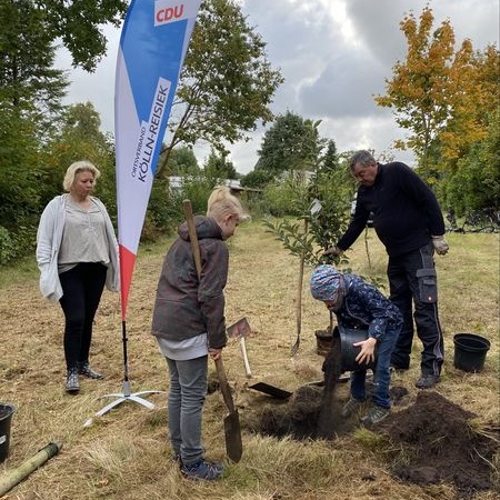 Größeres Bild ansehen